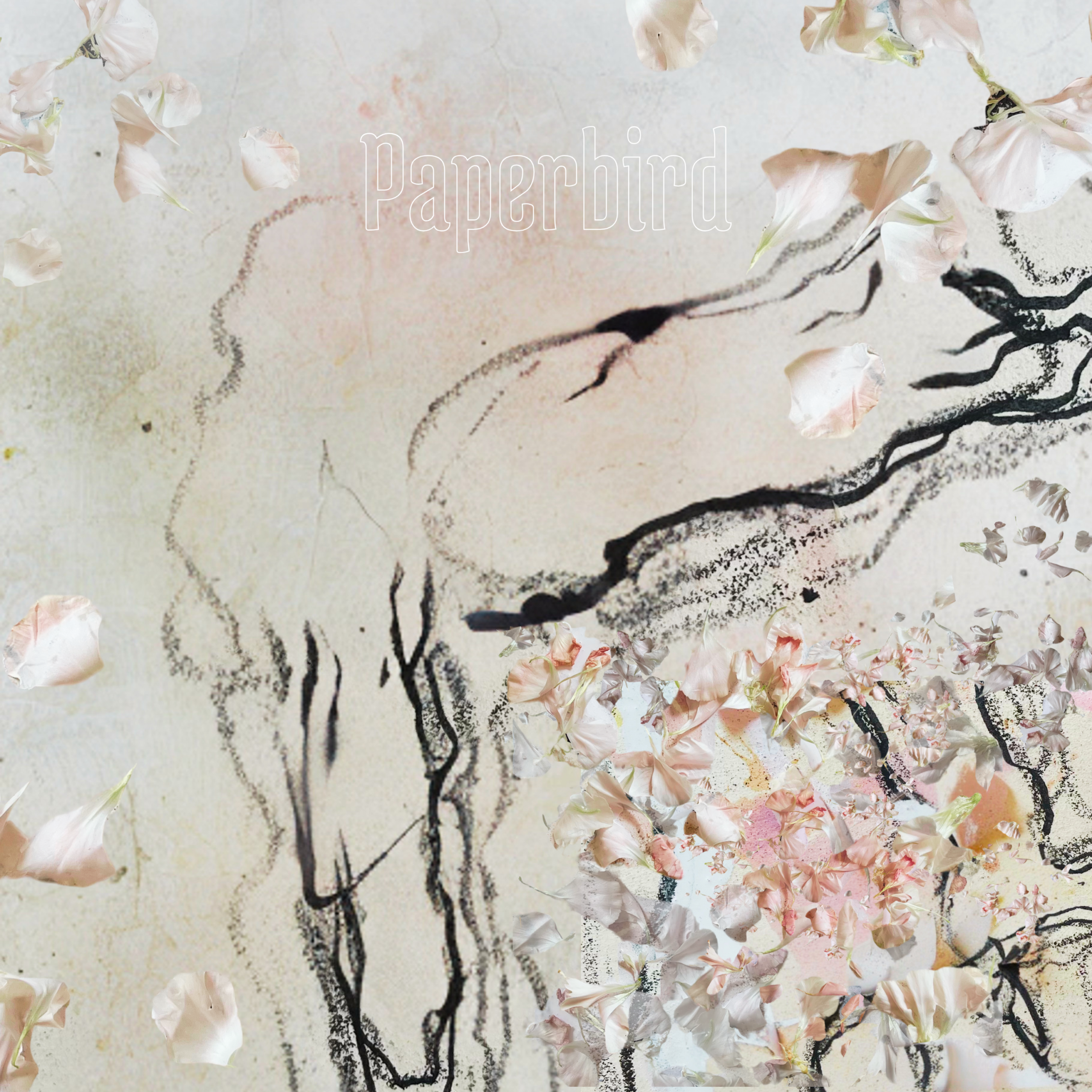 Zarte Collage aus rosafarbenen Blütenblättern, schwarzen Tintenlinien und abstrakten Texturen auf hellem, papierartigem Hintergrund; in der Mitte steht das Wort „Paperbird“.